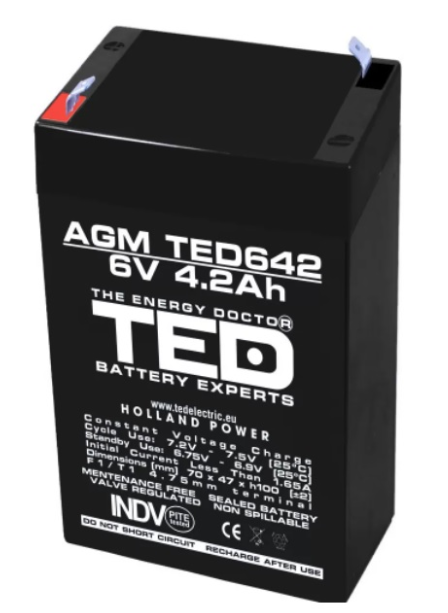 Acumulator 6V 42A /AGM VRLA F1 TED 642